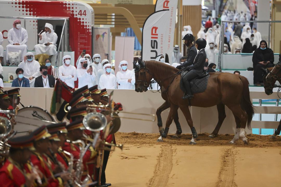 من فعاليات مهرجان أبو ظبي الدولي للصيد