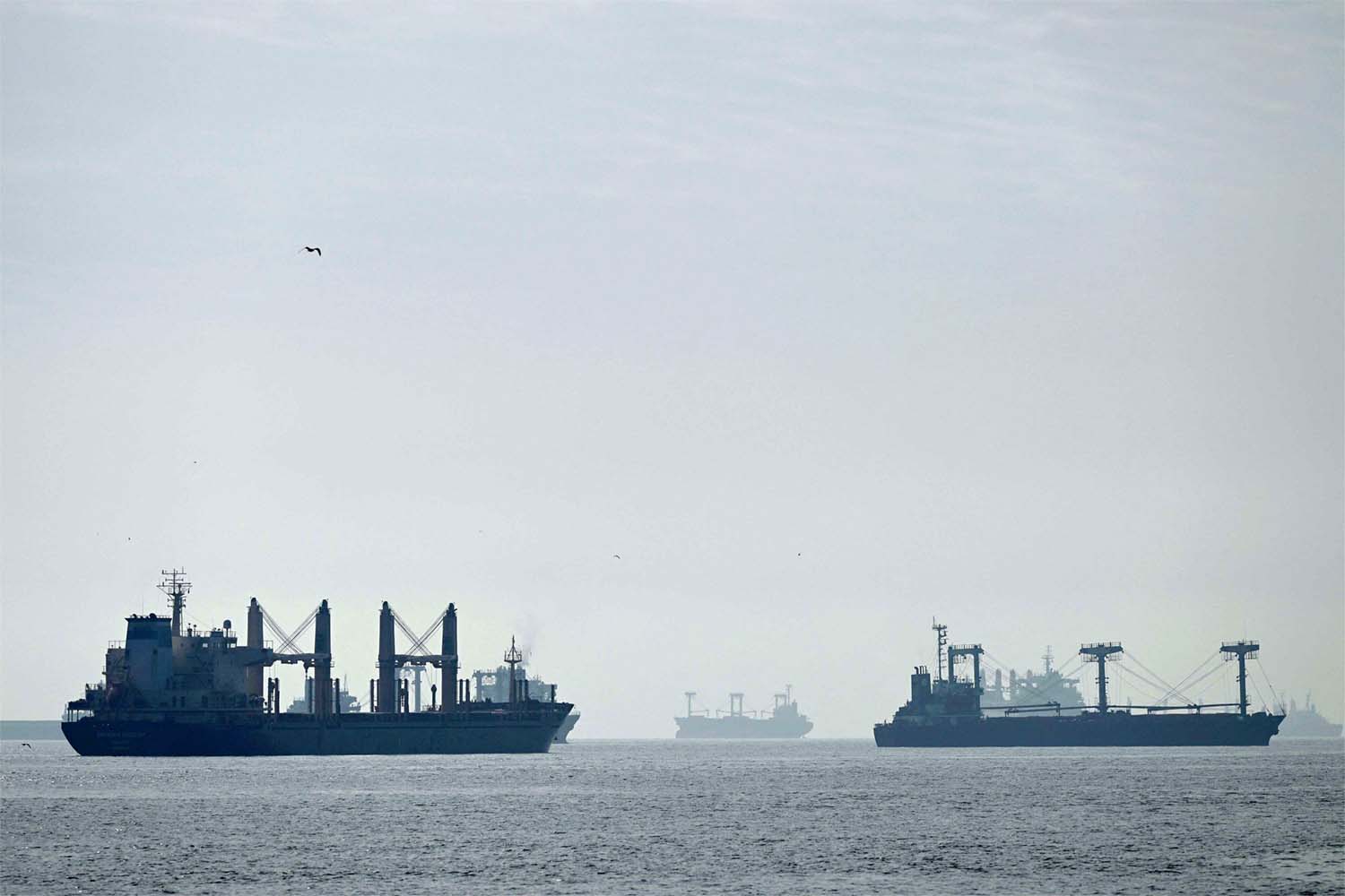 The grain deal will prioritize shipments to African nations, including Somalia, Djibouti and Sudan