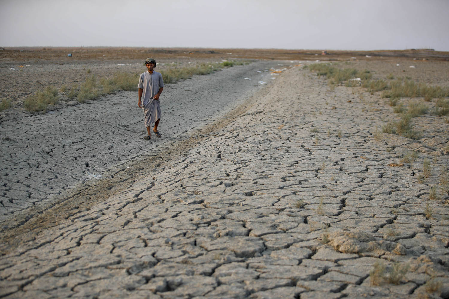 جفاف في مناطق الأهوار في العراق