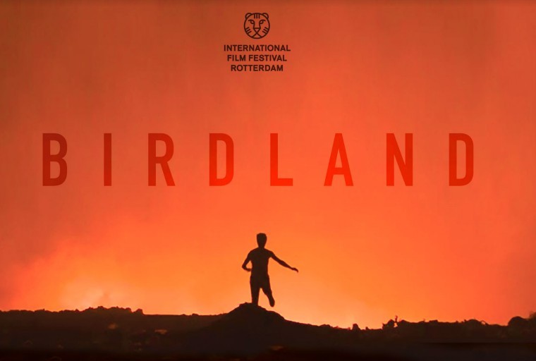 Birdland