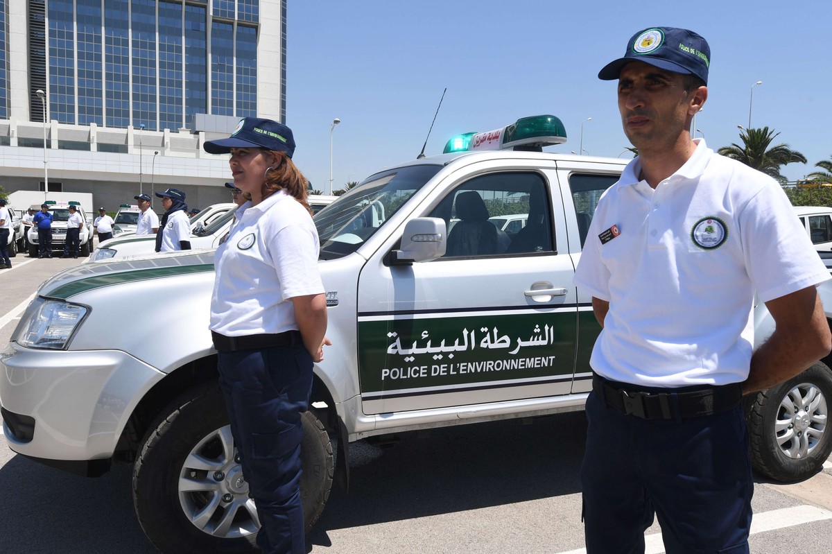 جهاز تاسس بعد الثورة