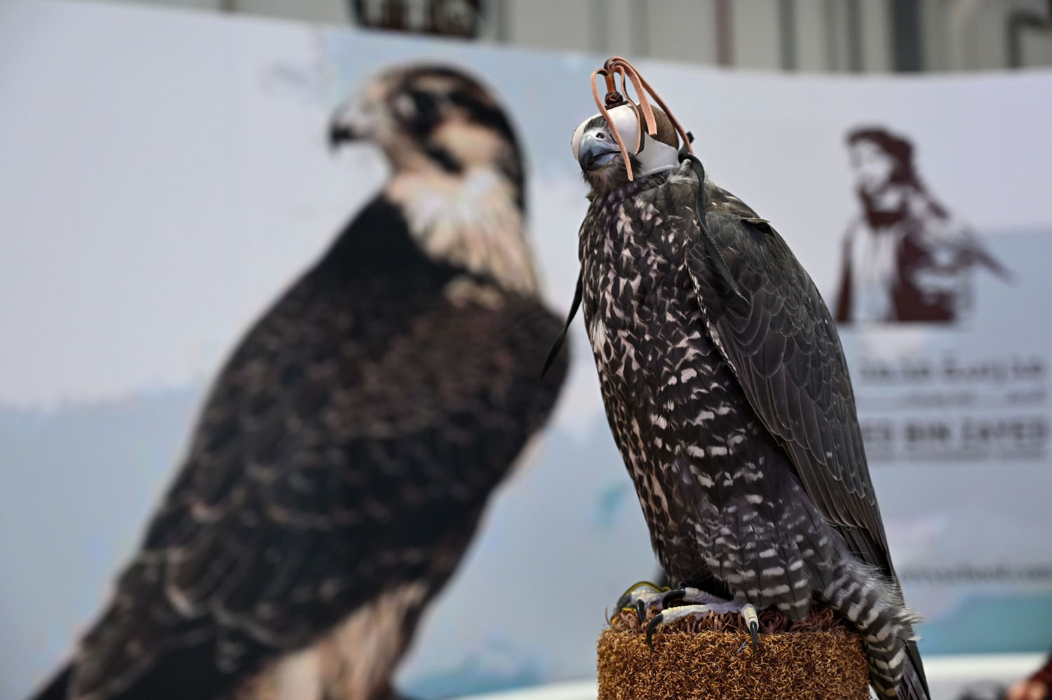 ADIHEX