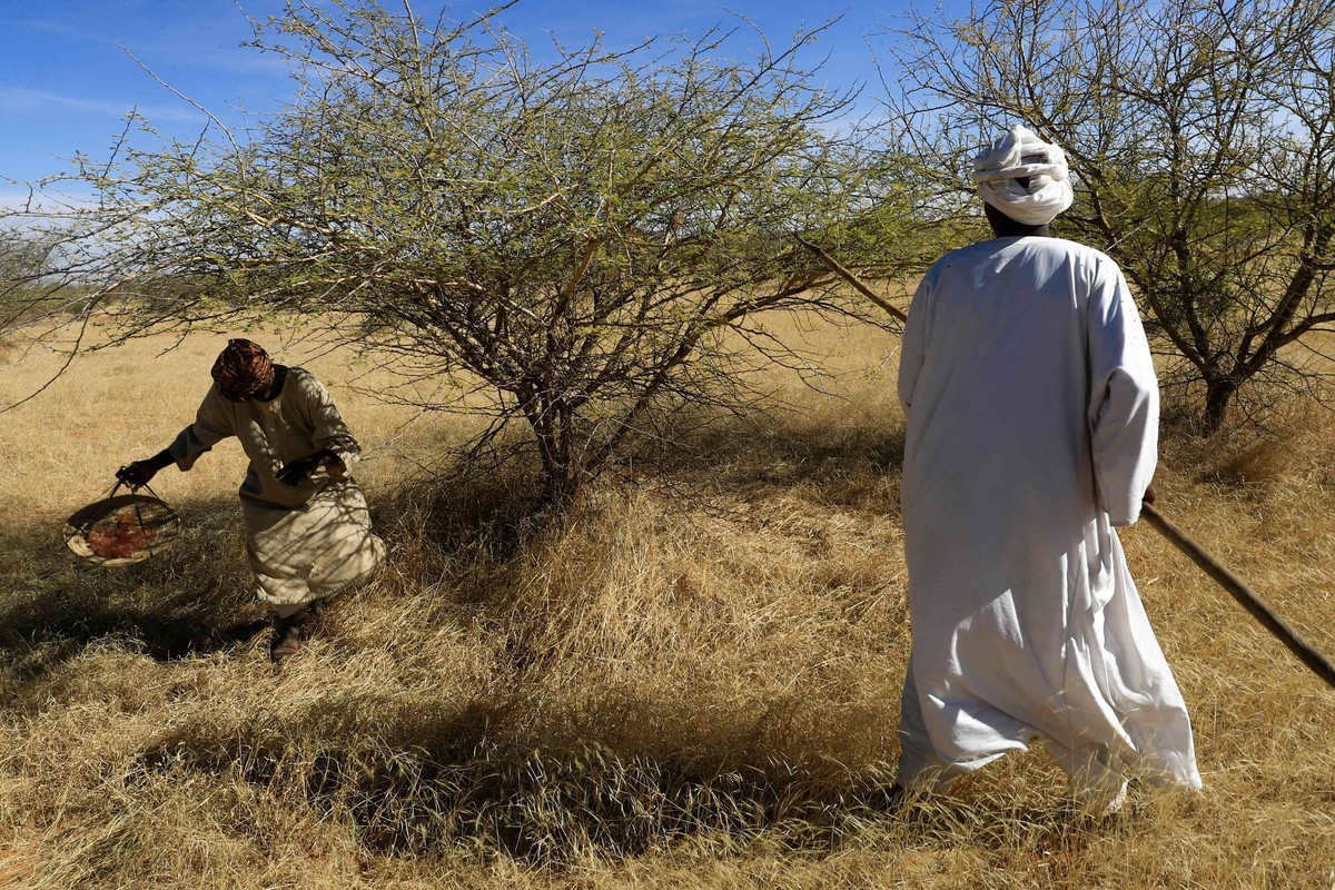 السودان
