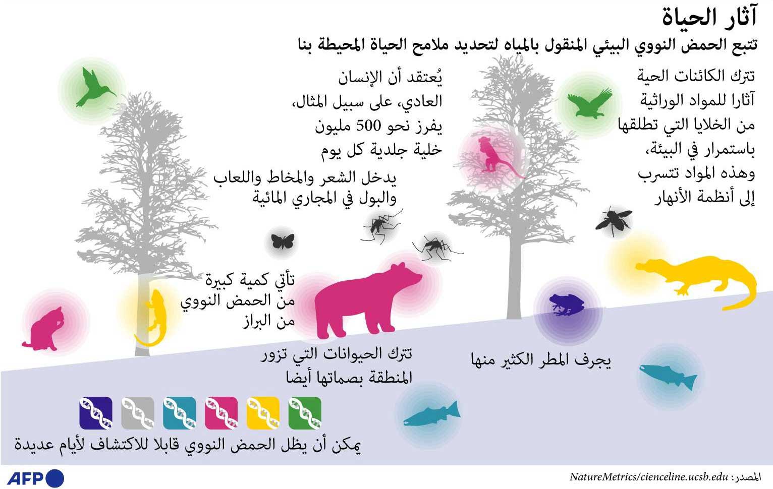 بيانات