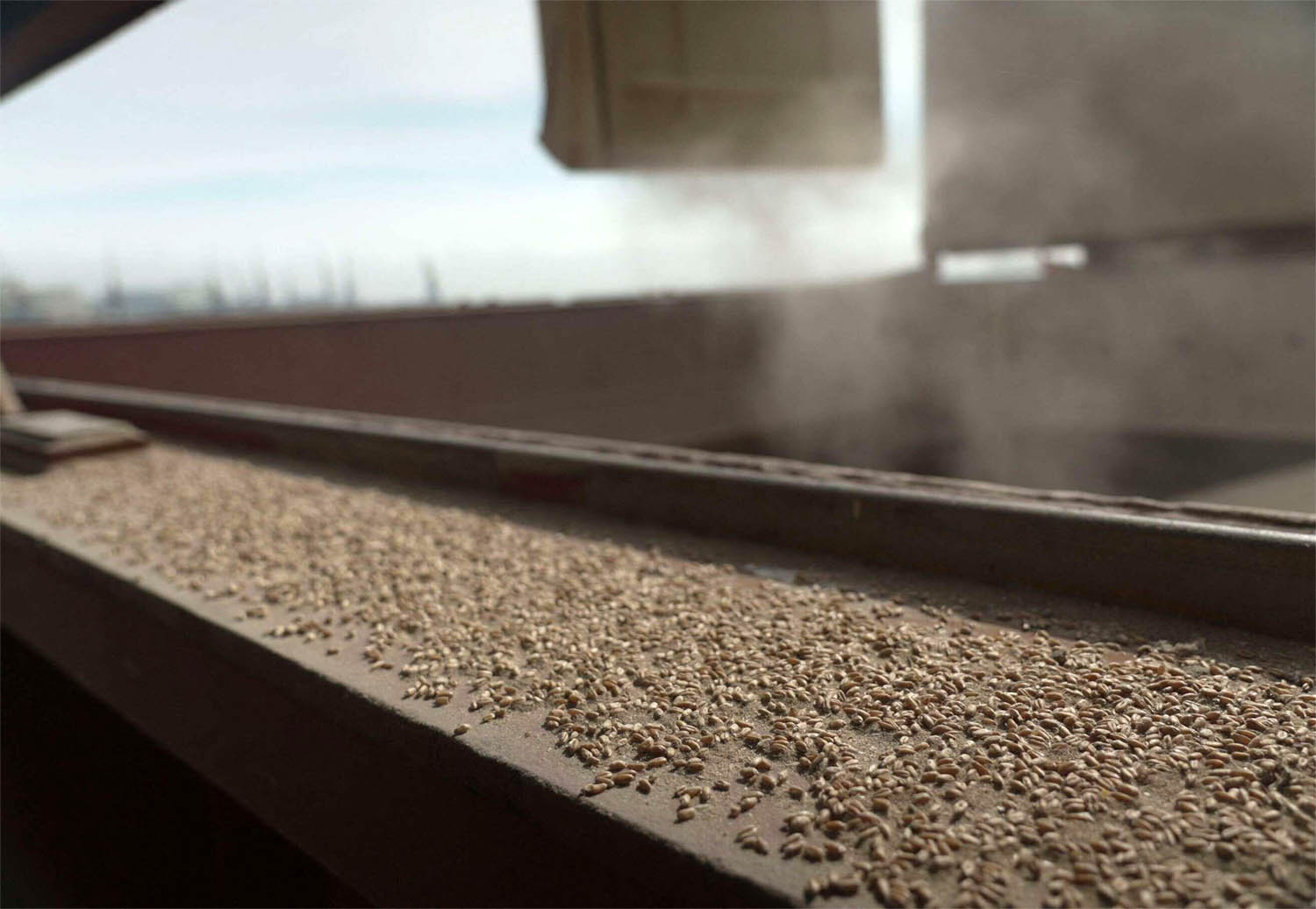 The UN and Turkey brokered the Black Sea grain agreement in July last year 