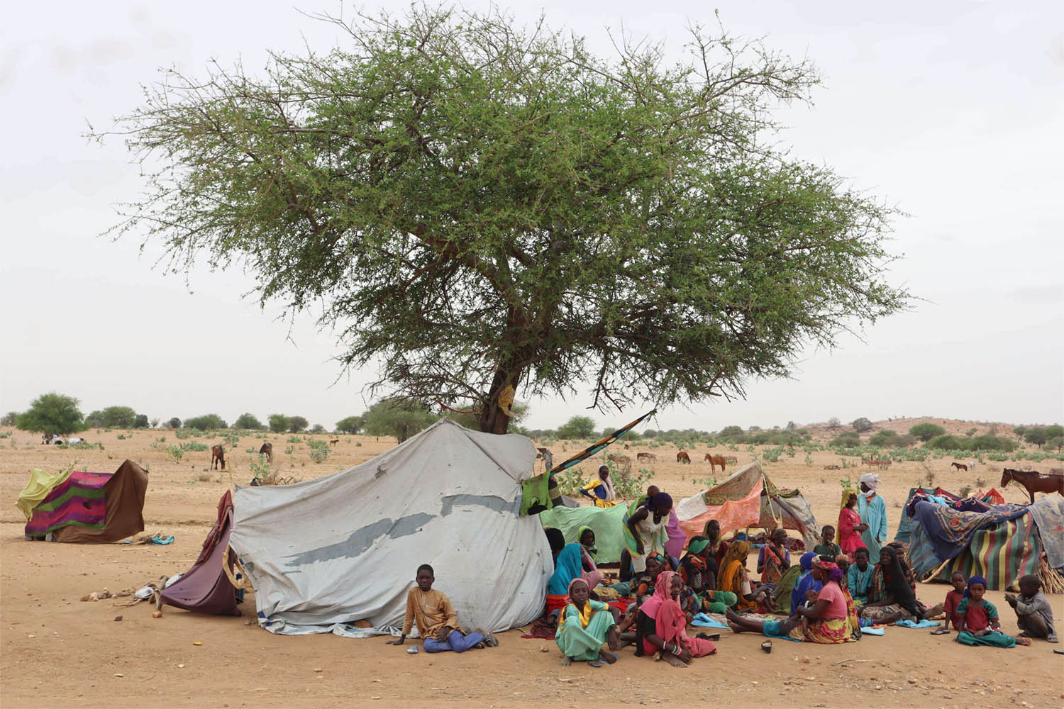 Sudan's crisis has unleashed a humanitarian disaster