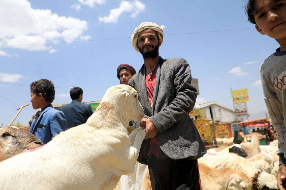 اليمنيون لم يعودوا قادرين على شراء اضاحي العيد