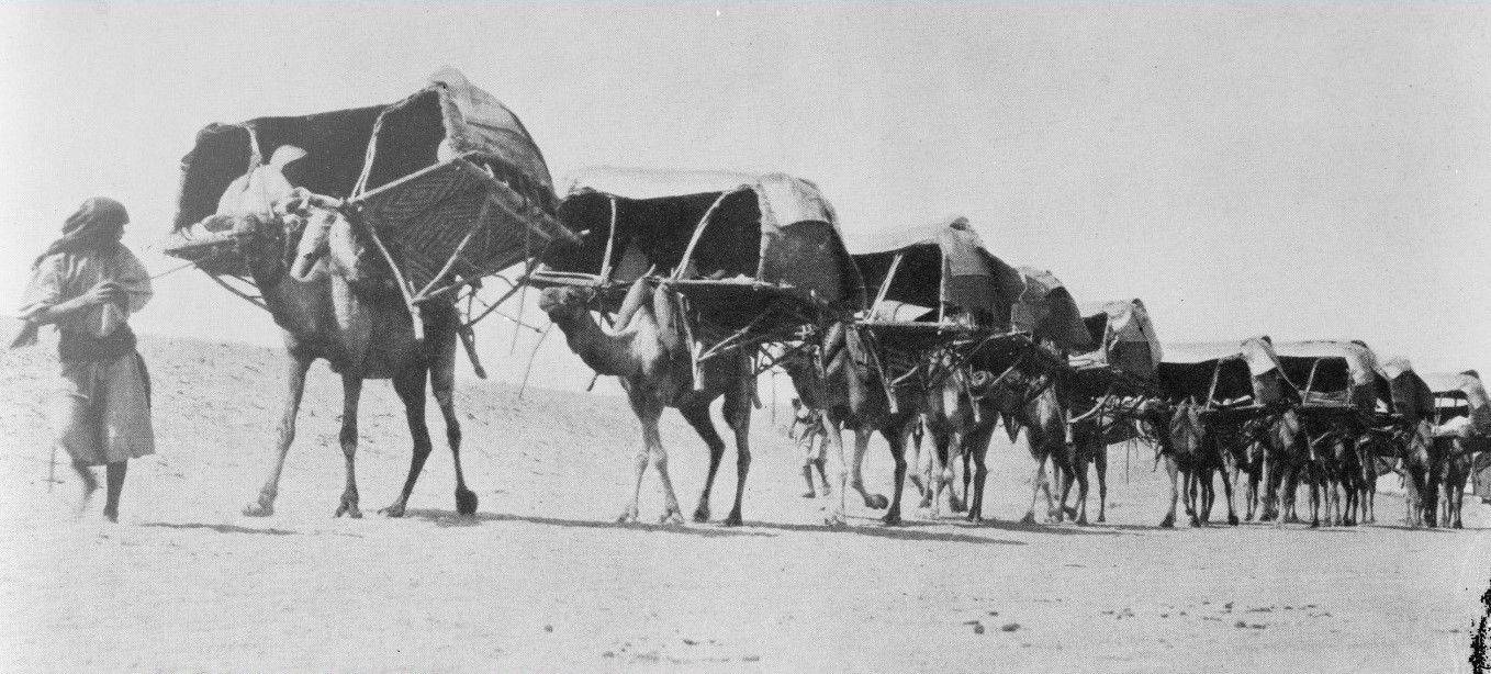 الحج