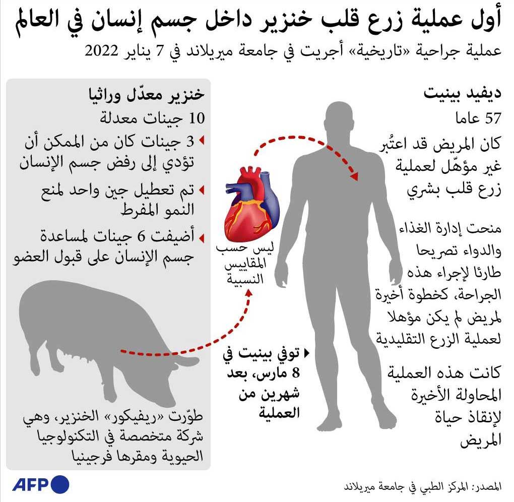 بيانات