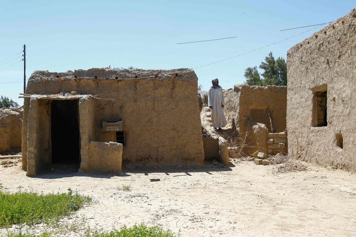 الفلاحون يضطرون لزراعة مساحات أقل من الأراضي بسبب قلة المياه