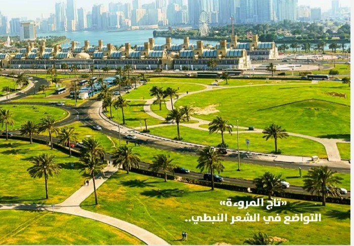  'الحيرة من الشارقة'