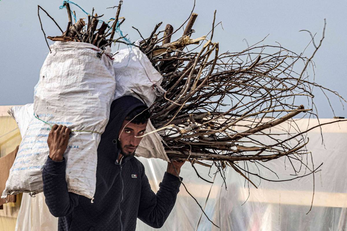 فلسطيني يجمع الحطب في غزة