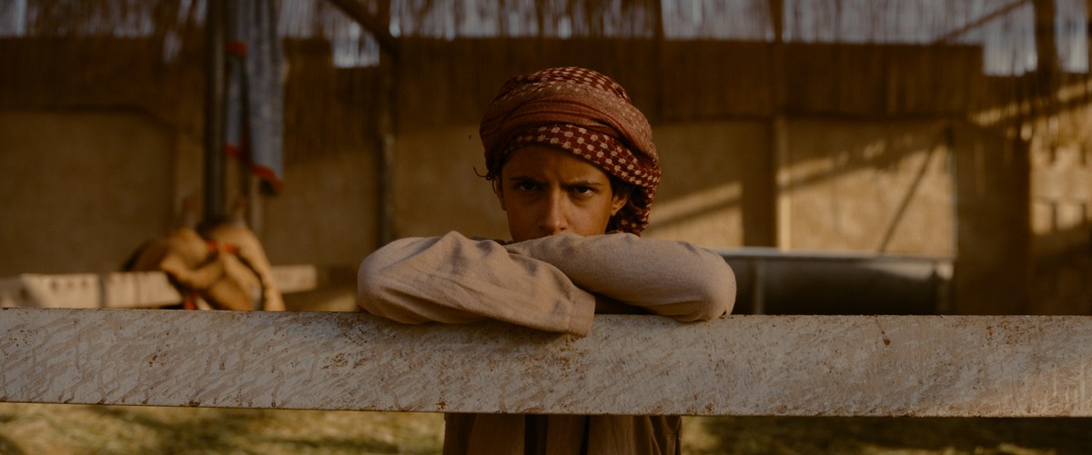 'هجان'