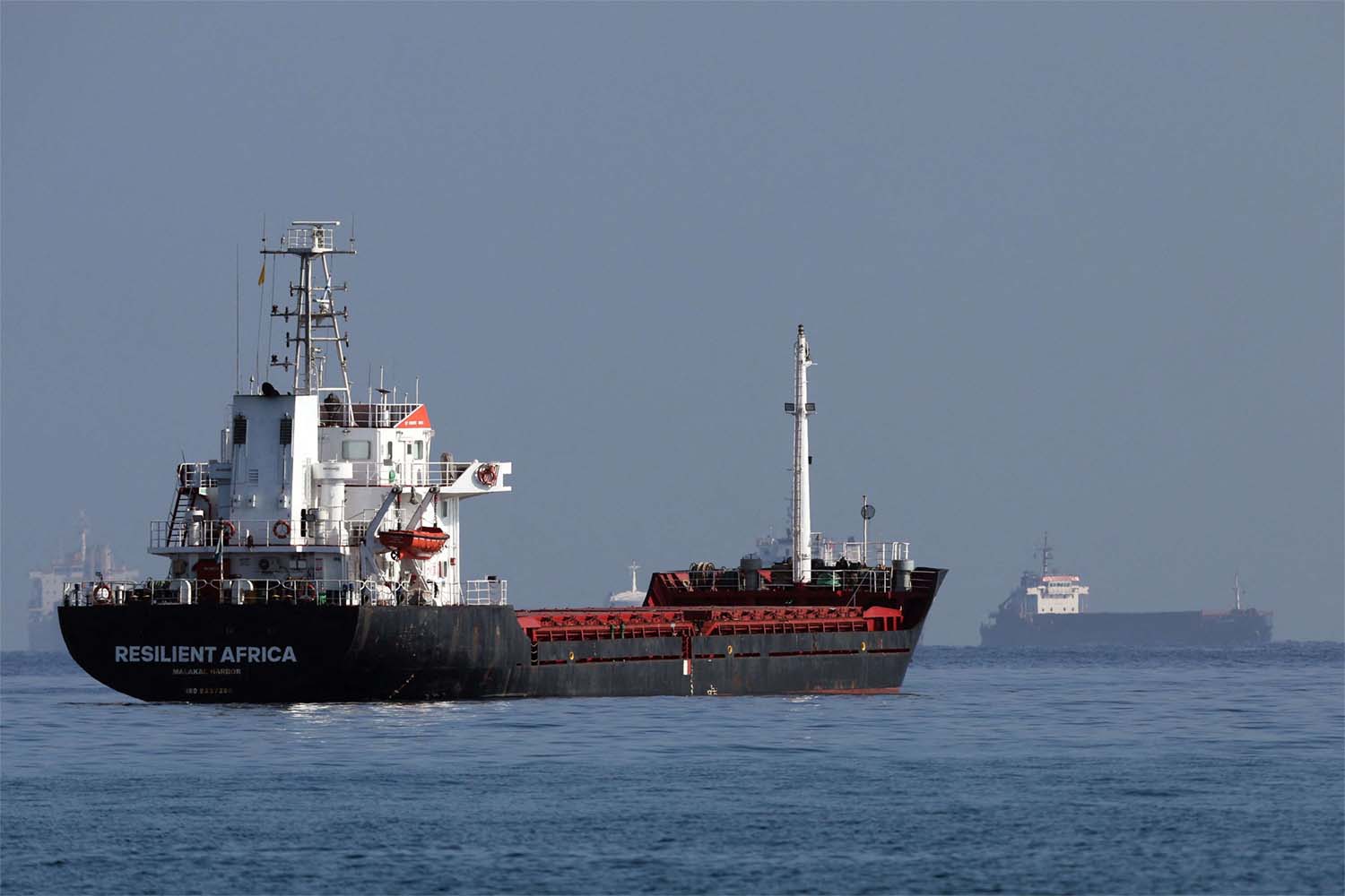 The situation in the Red Sea has led to a slowdown in Ukrainian agricultural exports in January