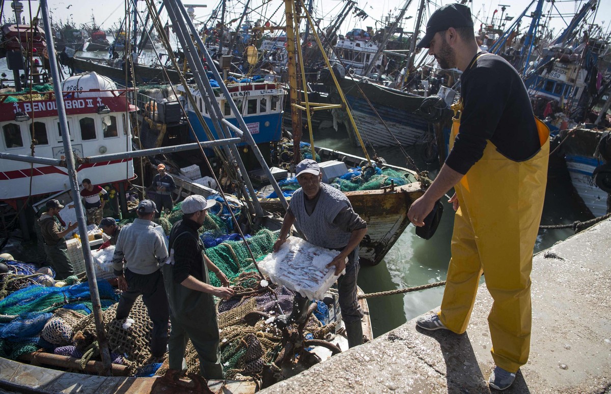 توصية أوروبية تقر بصلاحية اتفاقية الصيد البحري السابقة بين الرباط وبروكسل