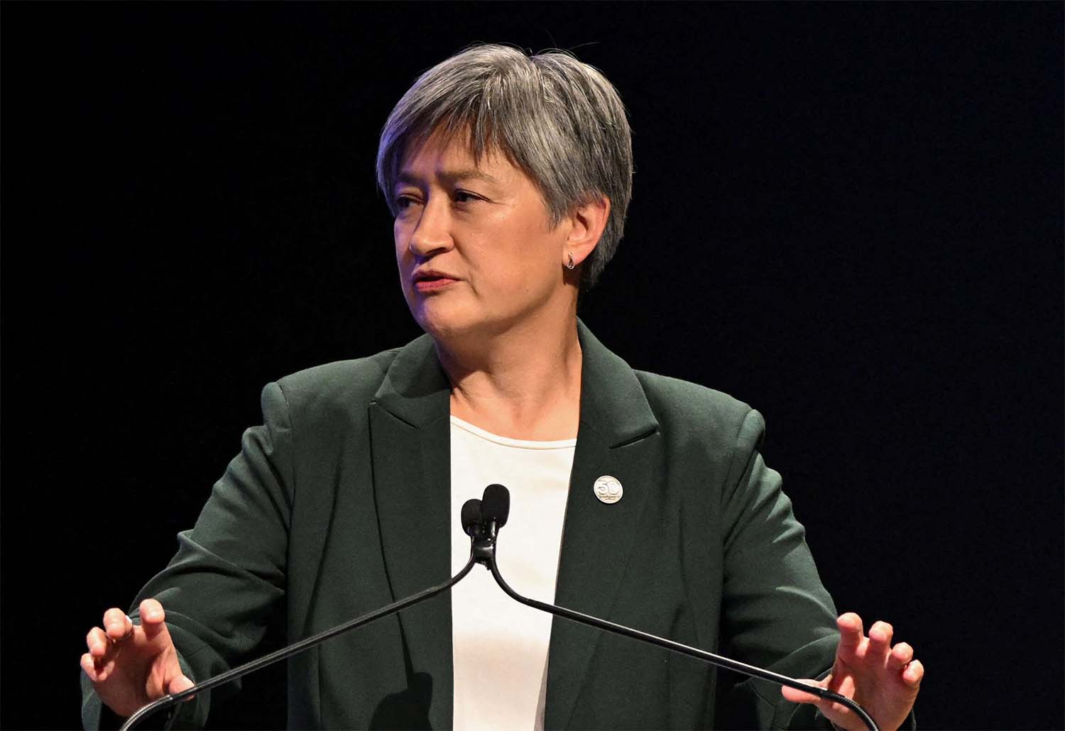 Wong: I think the world is horrified with the current situation 