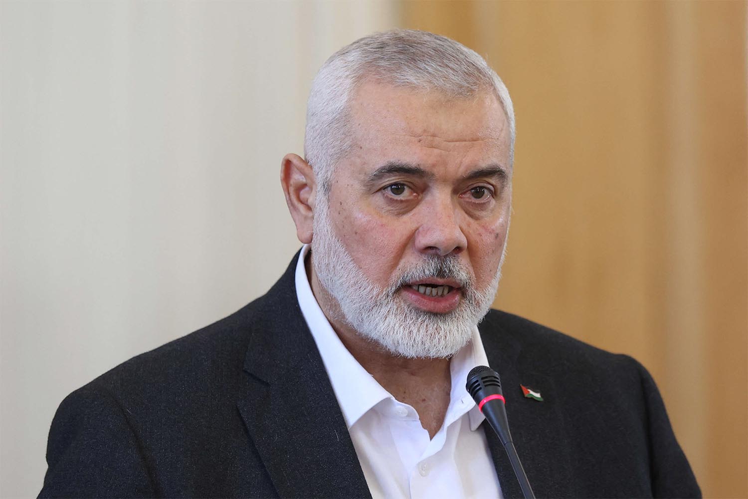 Haniyeh: The blood of my sons is not dearer than the blood of our people