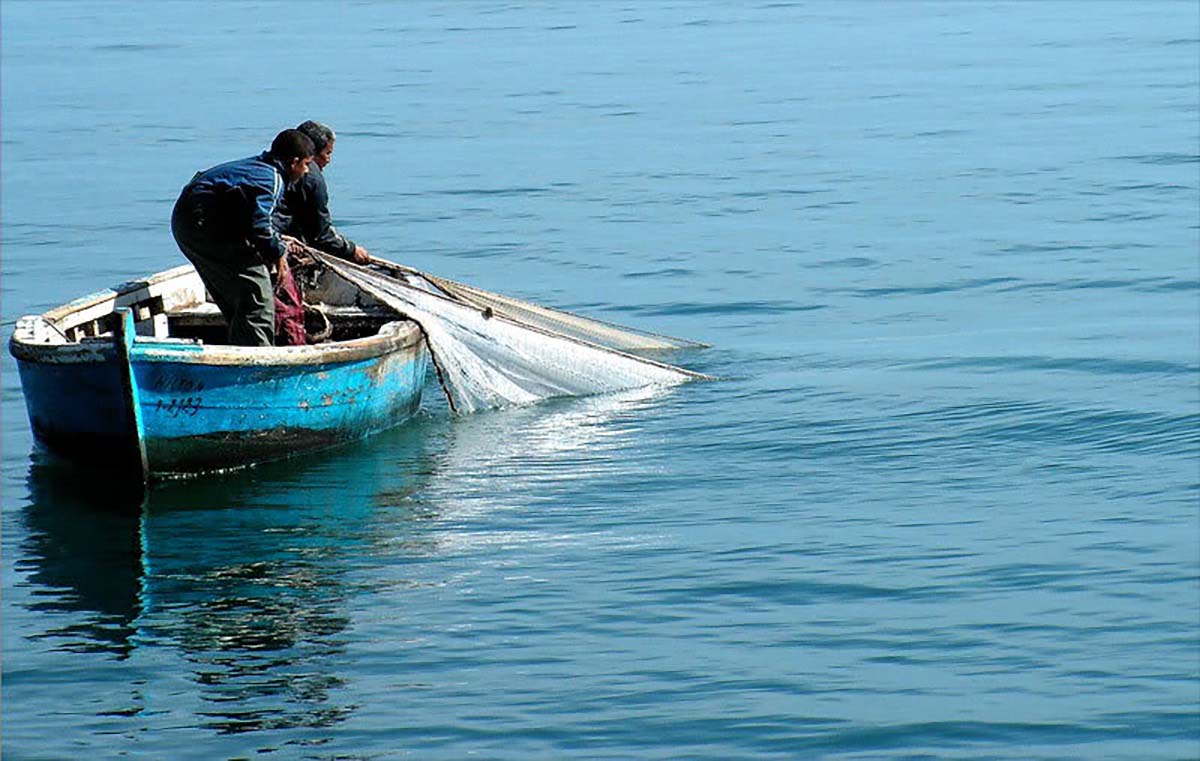 Fishermen do not engage in any other economic activities
