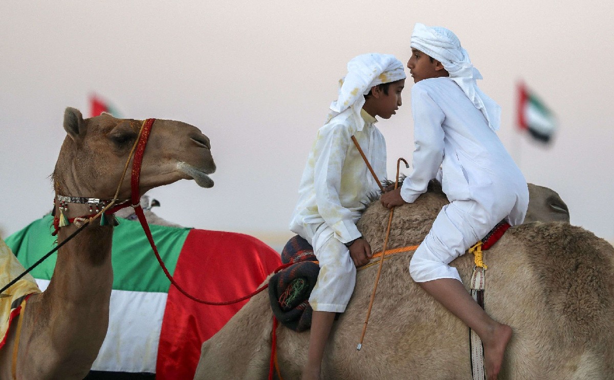 الإبل
