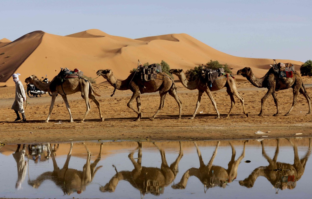 منتجعات مرزوكة