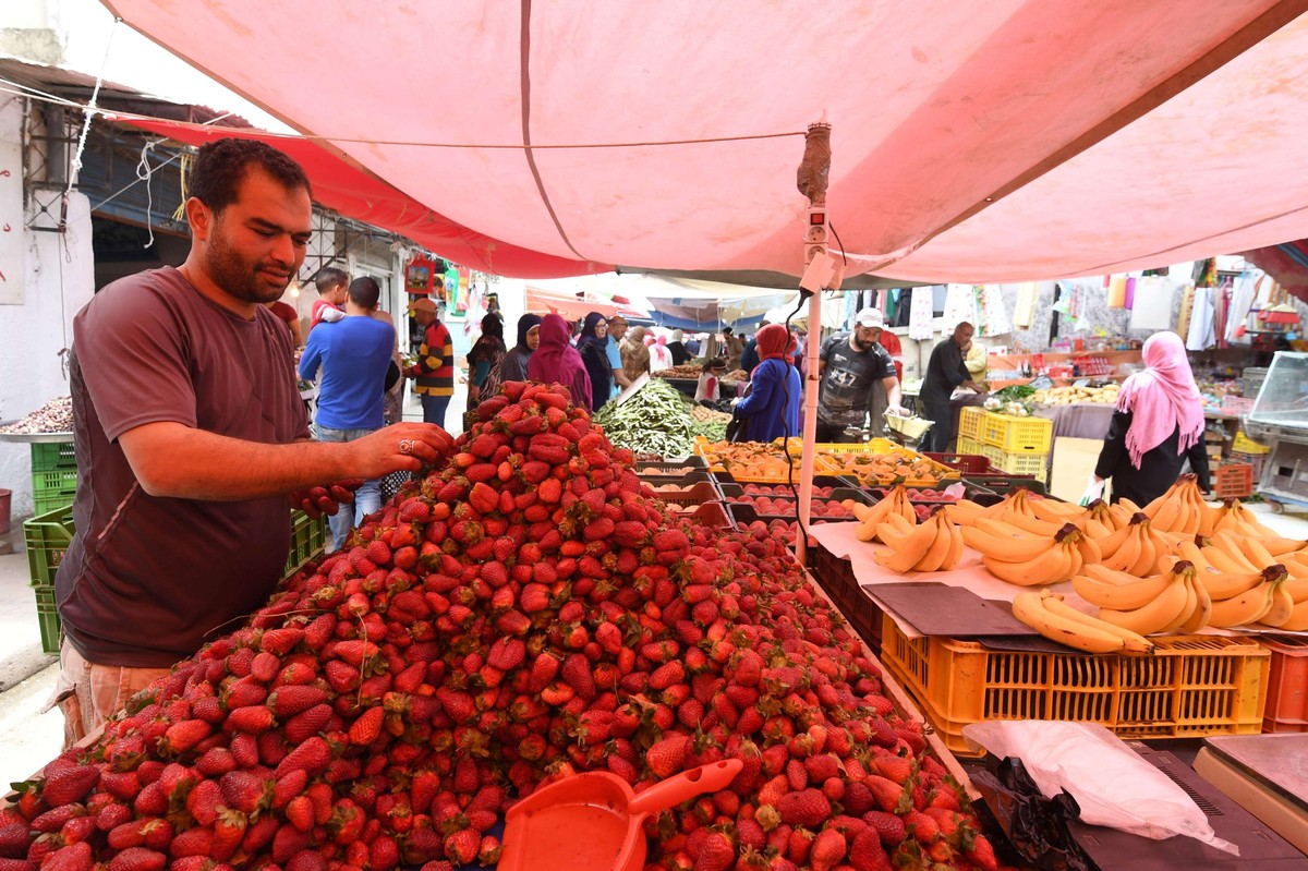 فراولة