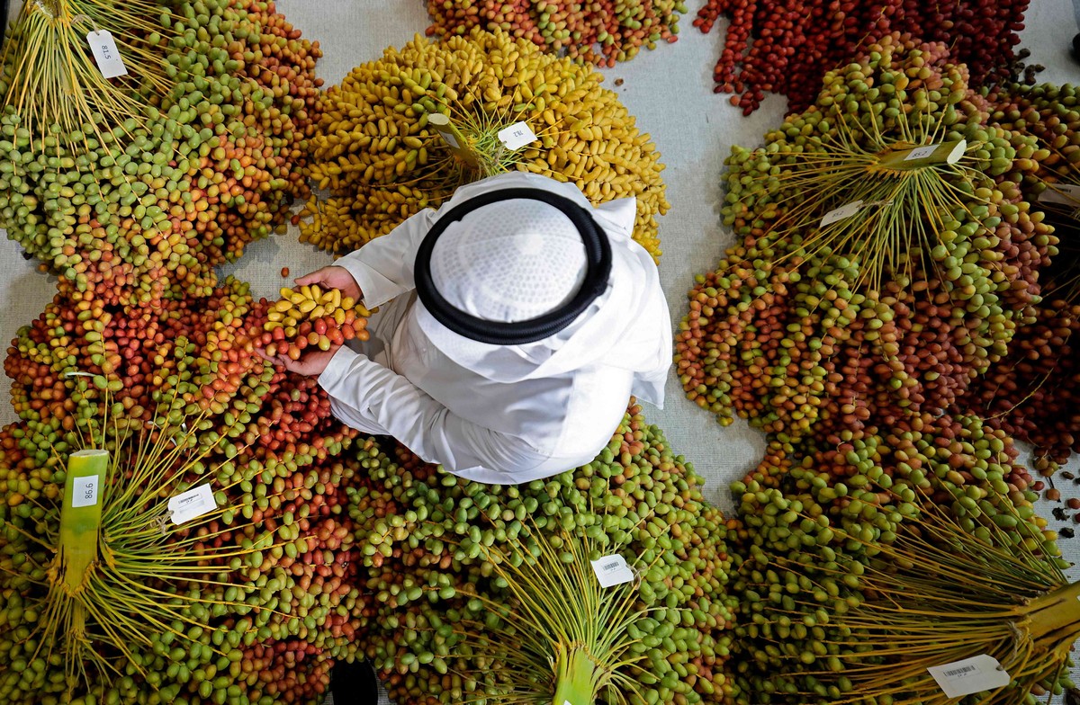 مهرجان ليوا للرطب