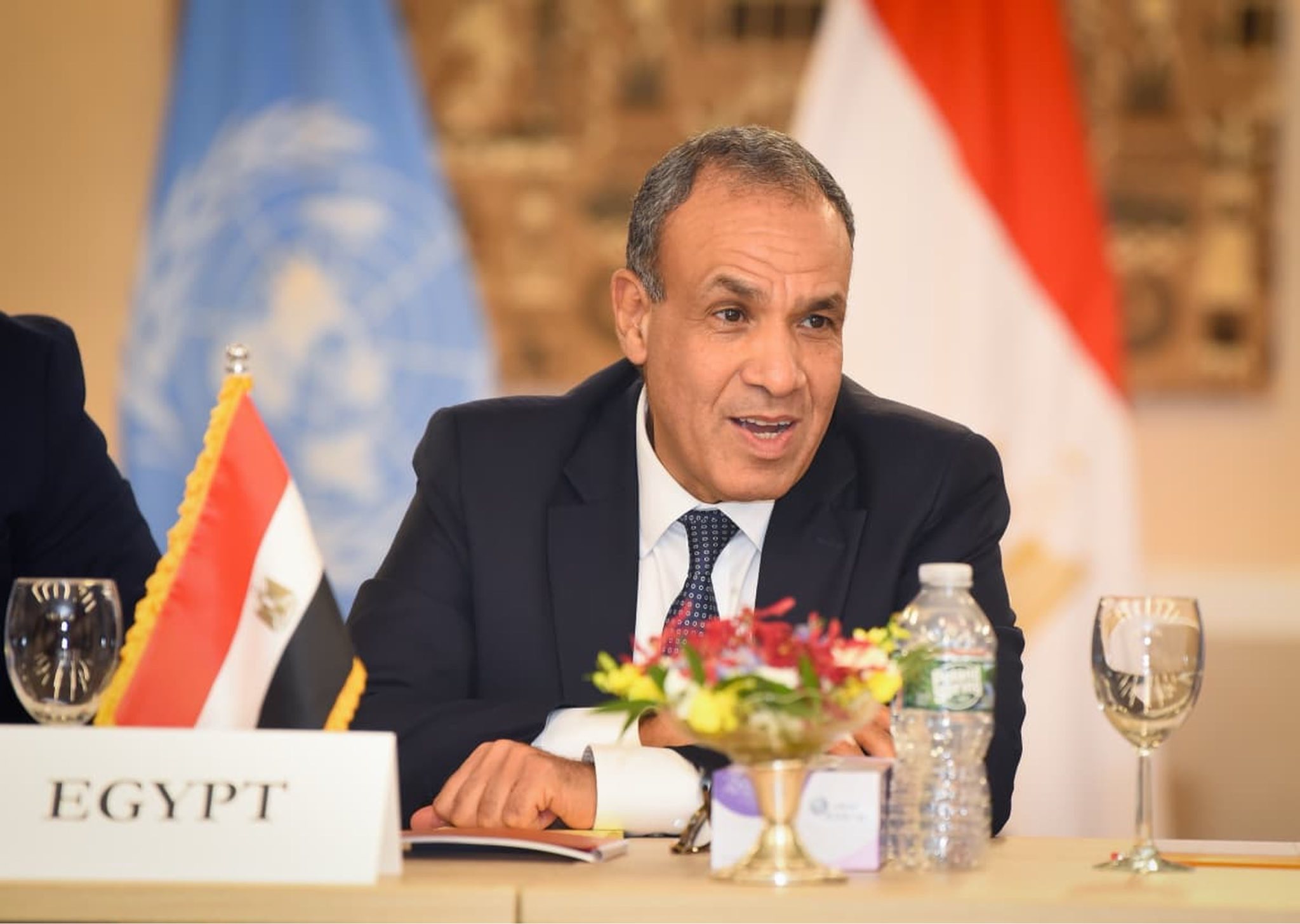 مصر تقود جهودا عربية لوقف حرب غزة ودعم حل الدولتين