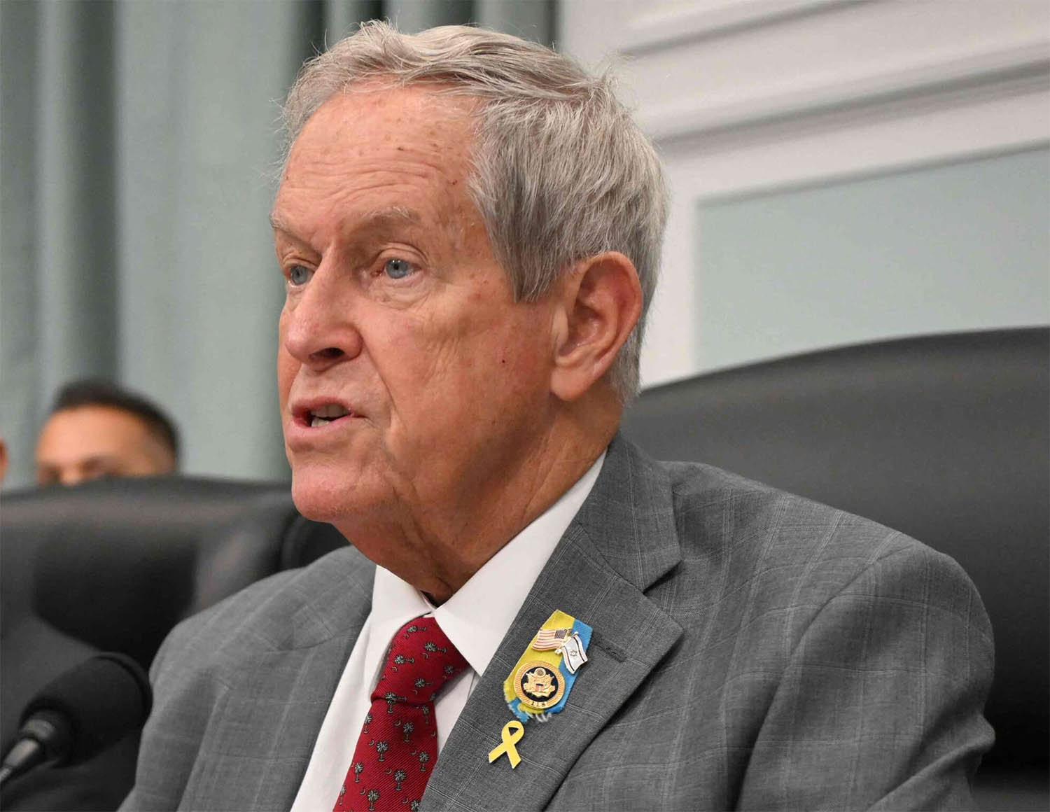 US Representative Joe Wilson