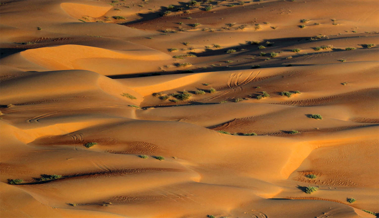 The Empty Quarter in Shubaytah, Saudi Arabia