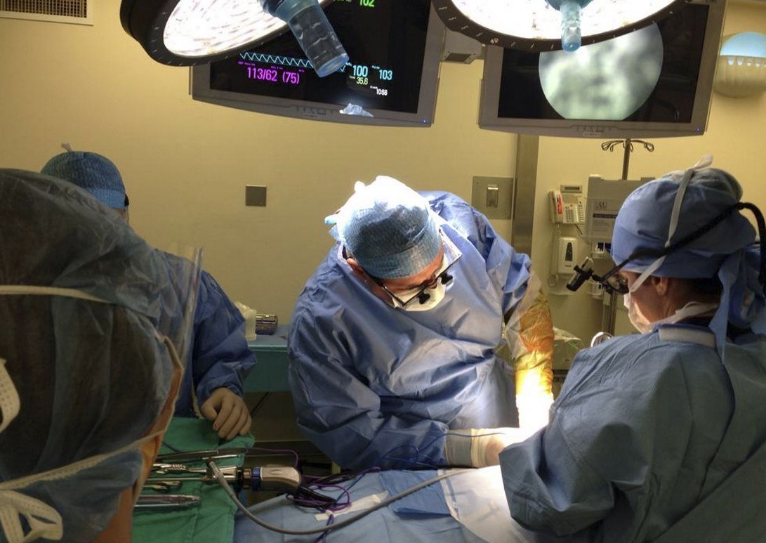 زراعة الكلى