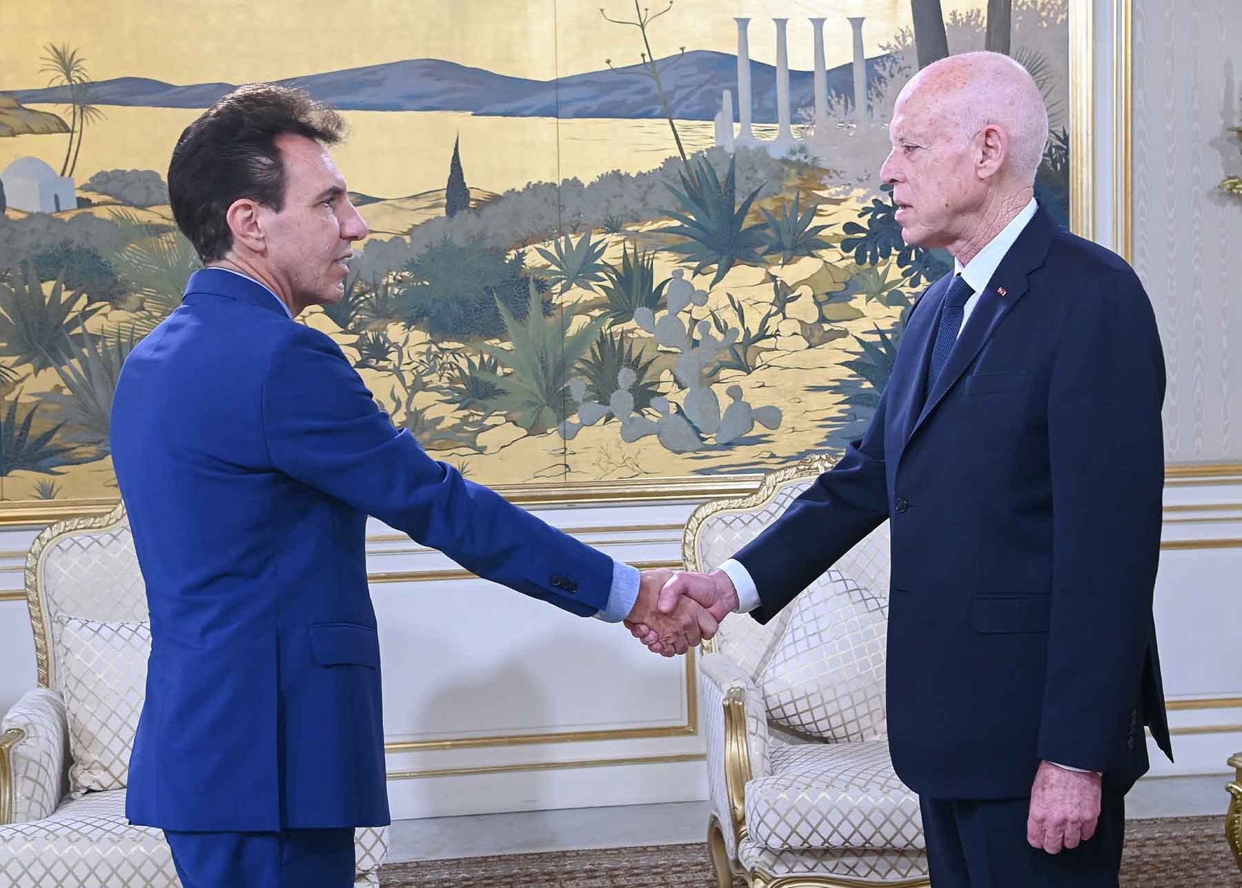 Tunisian President Kais Saied shakes hands with EU Ambassador Giuseppe Perrone at the Carthage Palace in Tunis, November 25, 2025.