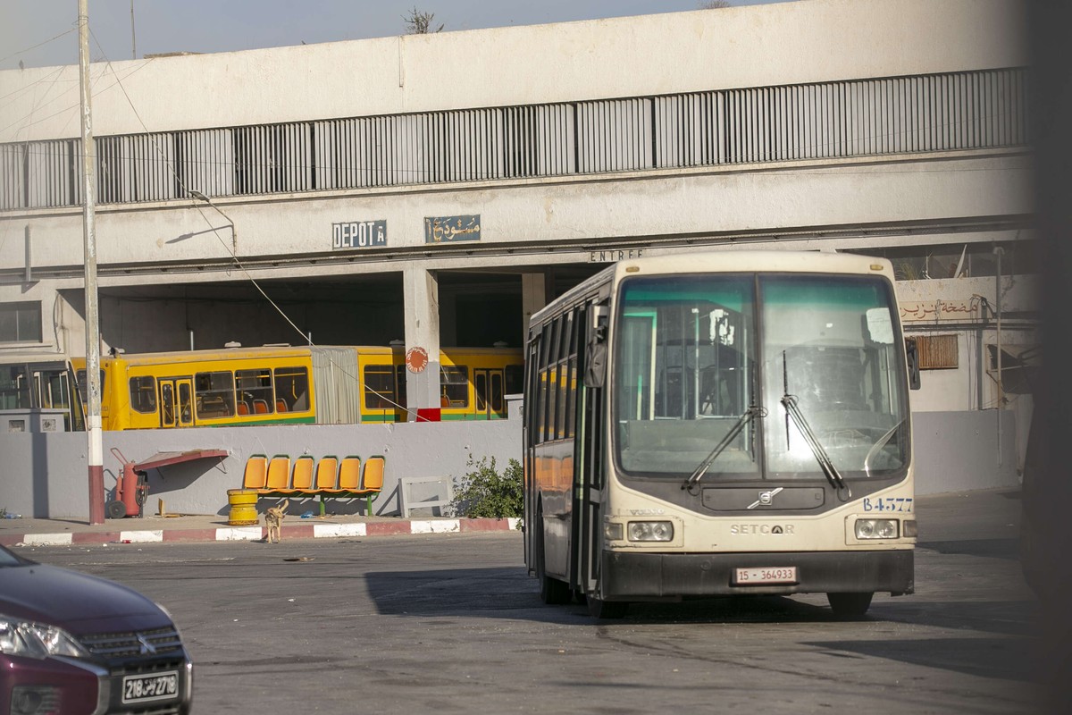 خطة وطنية لتجديد الأسطول المتقادم 