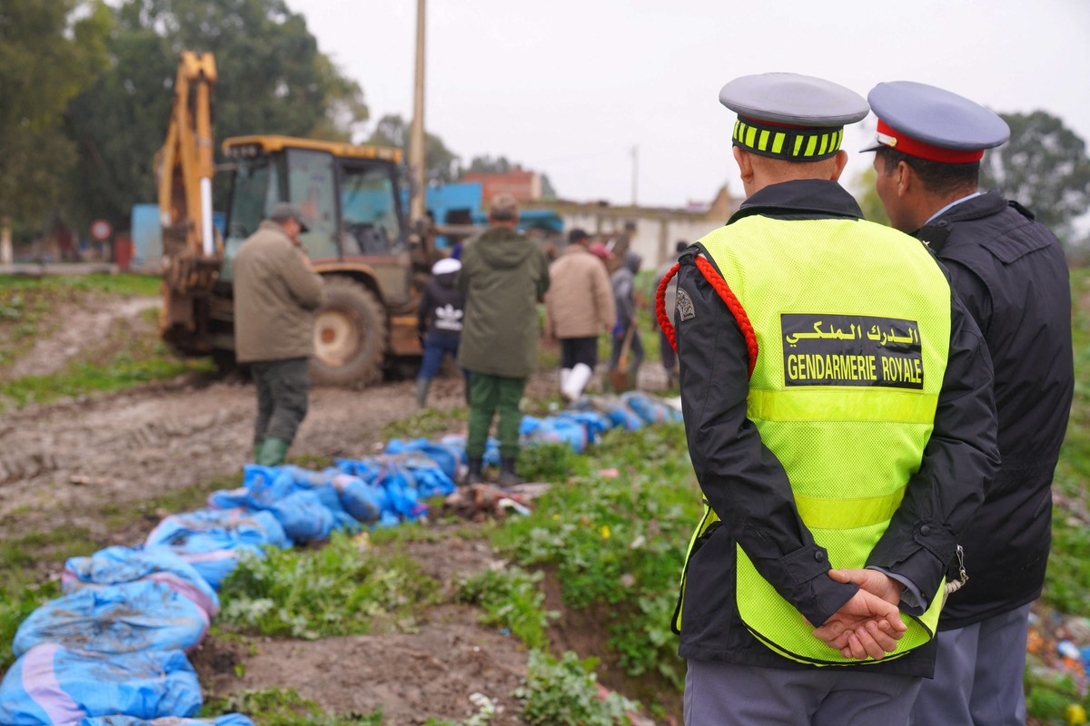 سرعة الاستجابة خففت من حدة الكارثة الطبيعية 