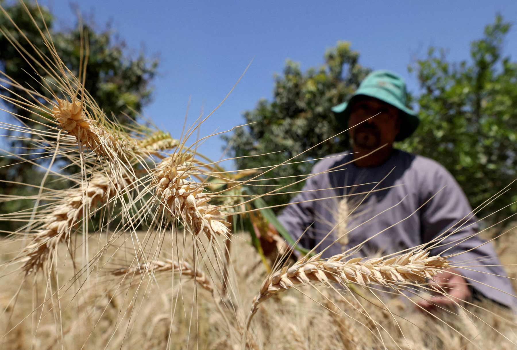 The push for greater self-reliance follows years of record imports
