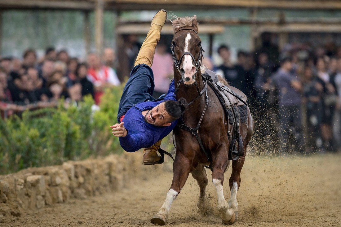 مهرجان الرياضات التقليدية 