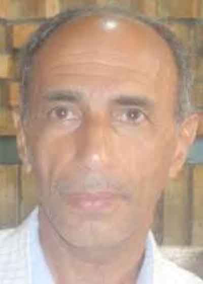 The Iraqi novel
