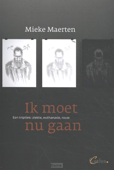 novel