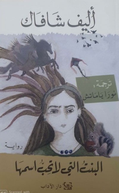 Turkish novel