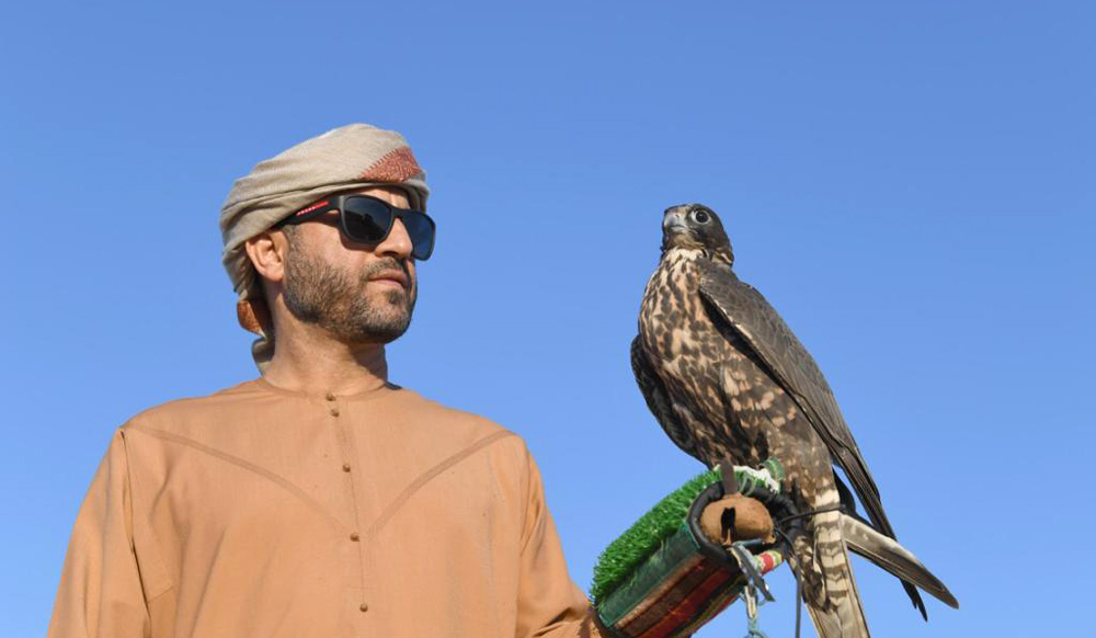 Falcon
