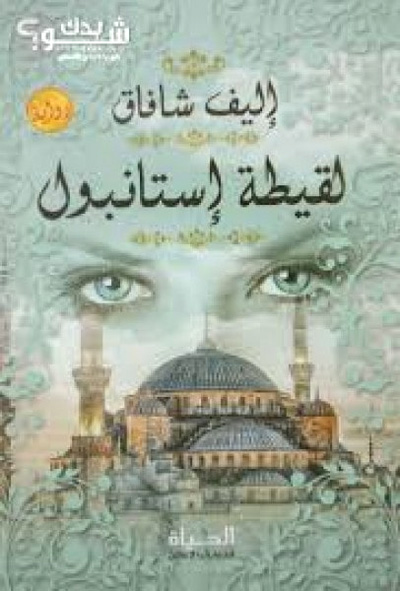 novel