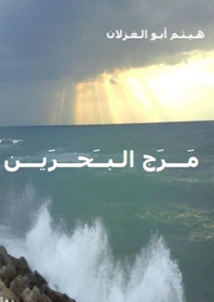 The Palestinian Novel