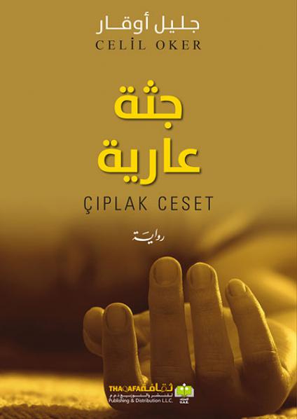 Turkish novel