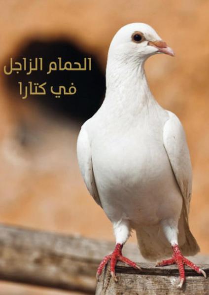 كتاب 'الحمام الزاجل في كتارا'