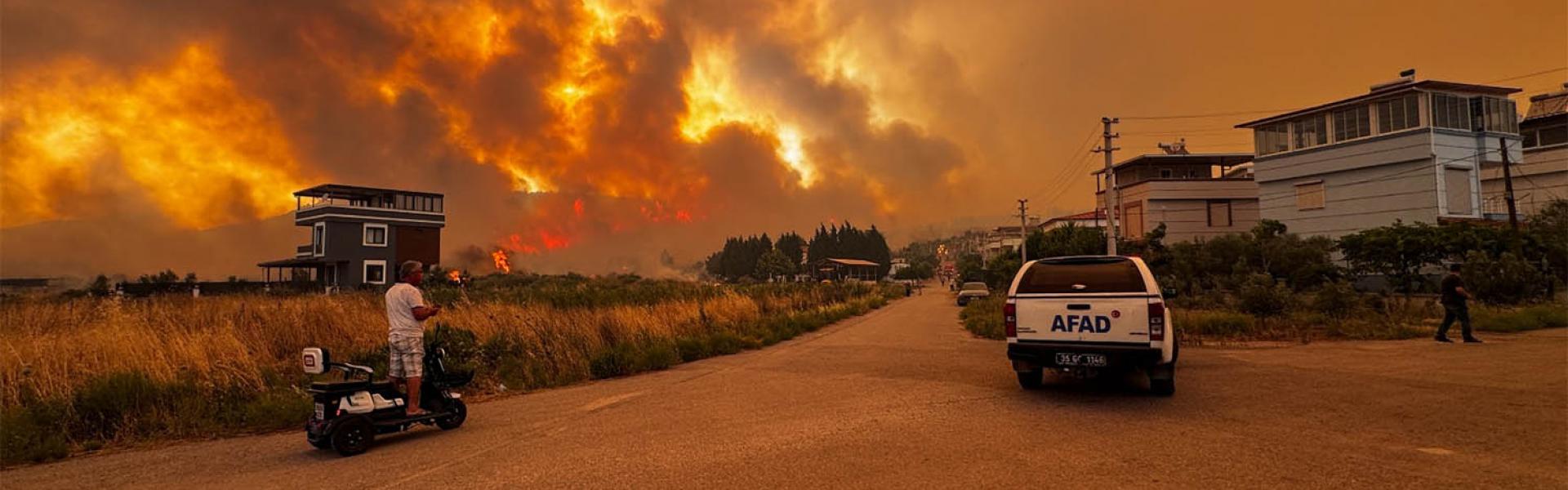 Devastating wildfire