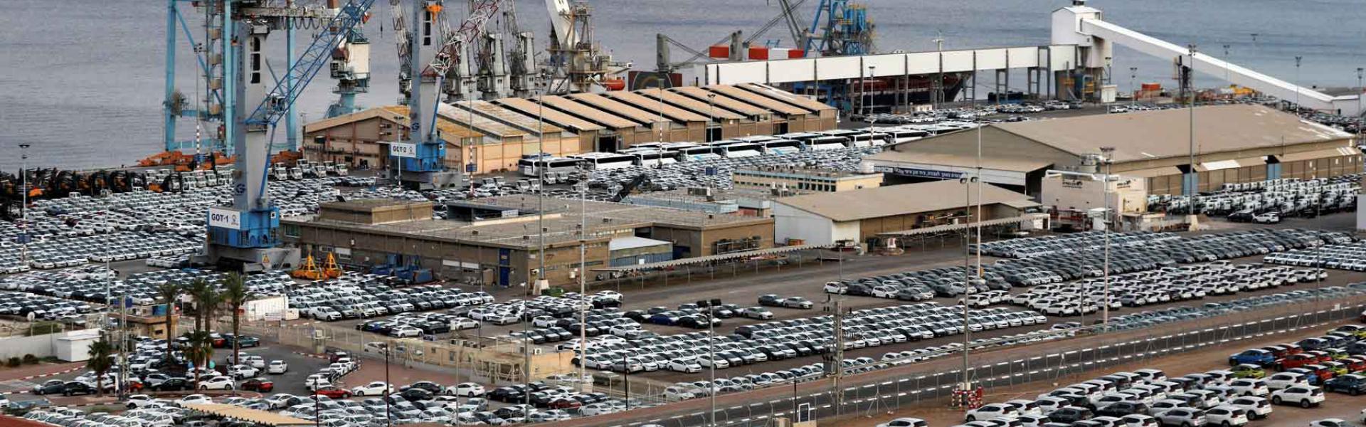 Almost completely paralysed