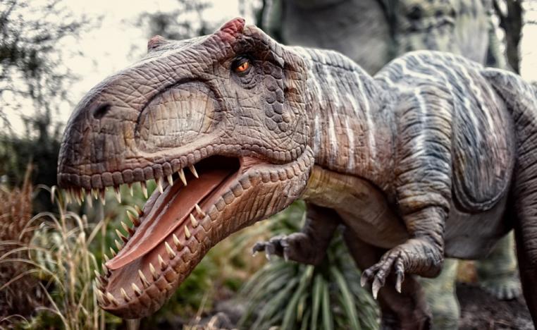 معرض فرنسي يبوح باسرار عن الديناصورات