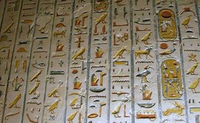 عدد زائري الموقع في تزايد مستمر