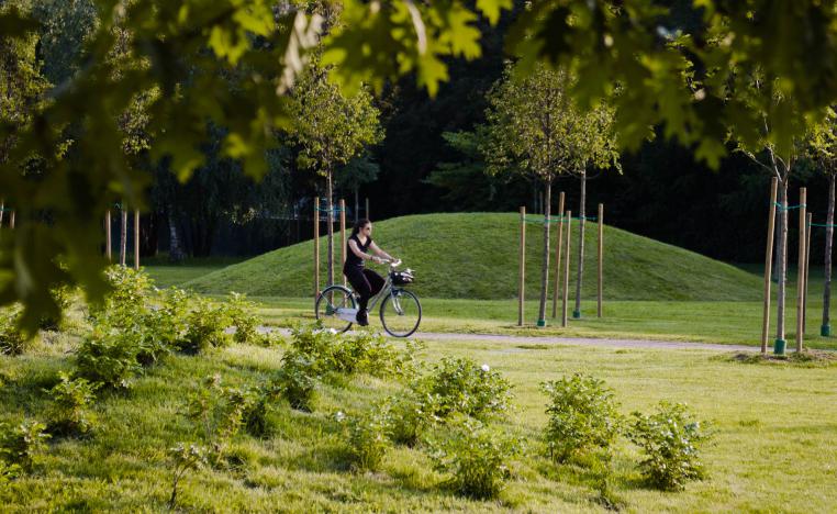 مرأة تقود دراجة هوائية وسط منطقة خضراء