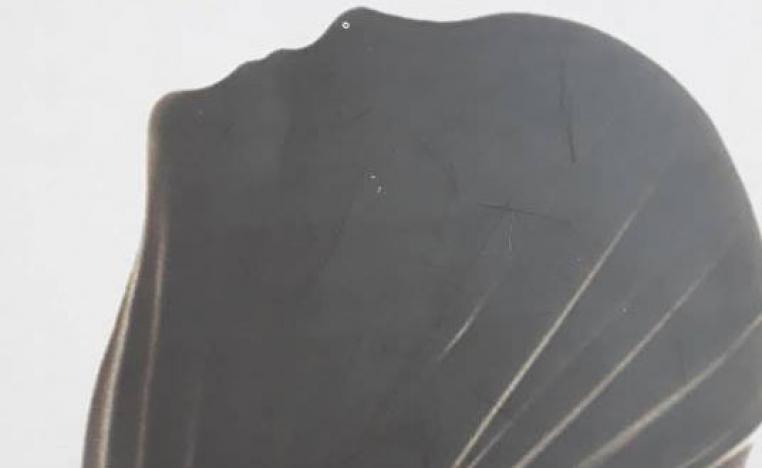 الضعف الإنساني حين يكون هدفا في "ظلال التيه"