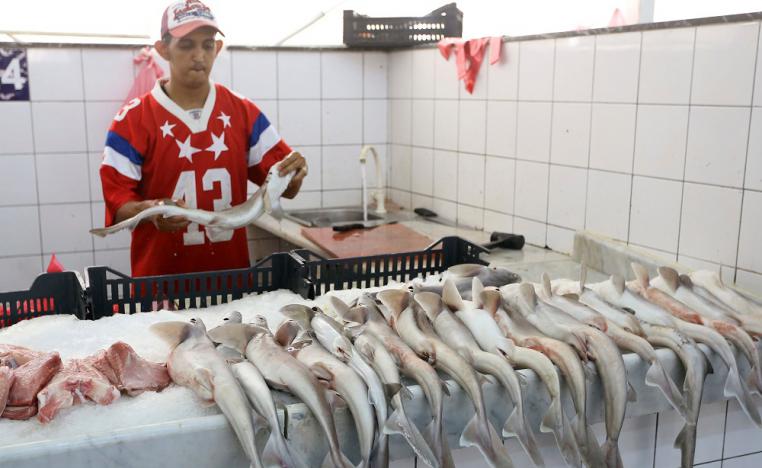 صيد السمك بالديناميت يقتل الإنسان ويهدد البيئة في ليبيا